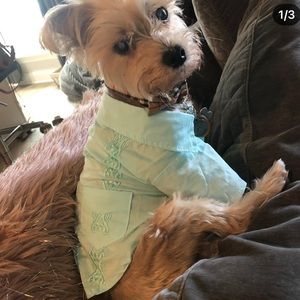 Fabdog | Dog | Havana Dog Shirt 